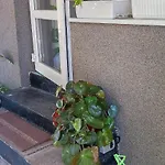 александра 公寓 *
