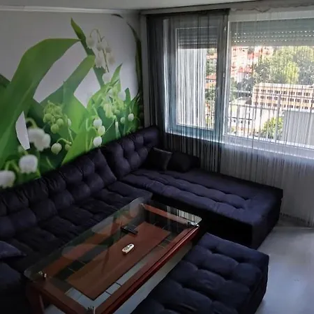 Apartment александра Kjustendil