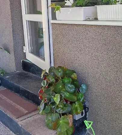 александра Apartment *