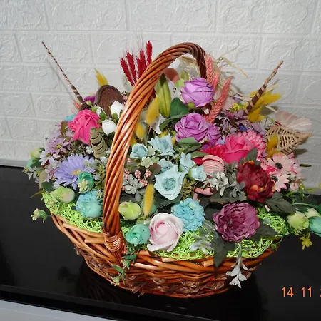 александра Apartment