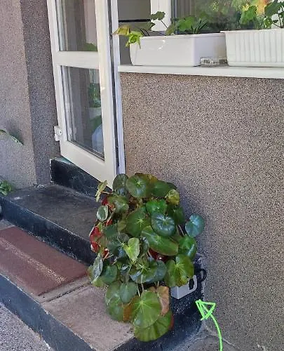 александра Apartament *