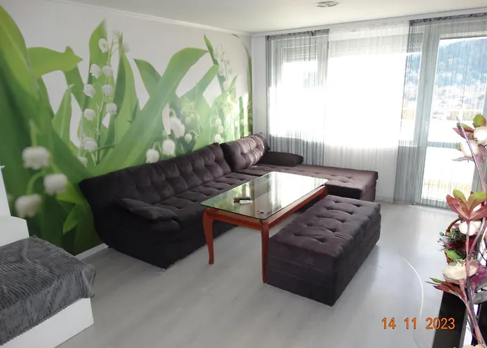 александра * Kiustendił