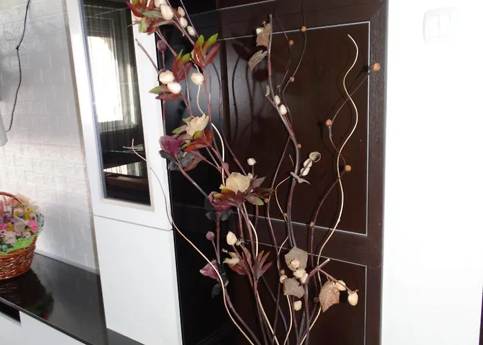 александра Kiustendił