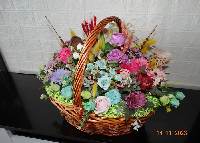 александра Apartament